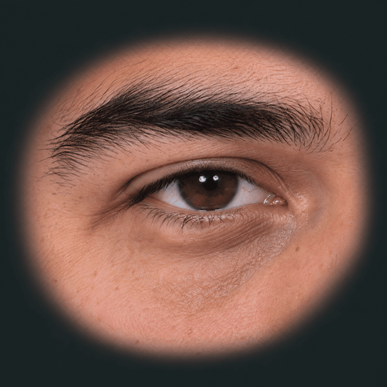 Ojo castaño y ceja del hombre del informe de ejemplo, con su textura natural